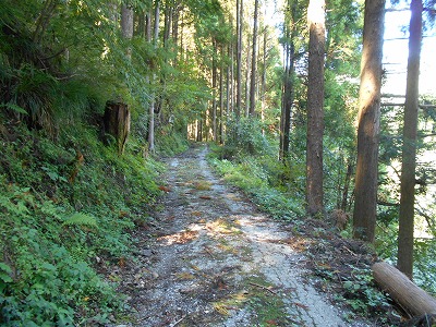 f0308898_19545663.jpg