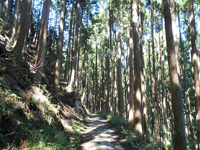 f0308898_1956632.jpg
