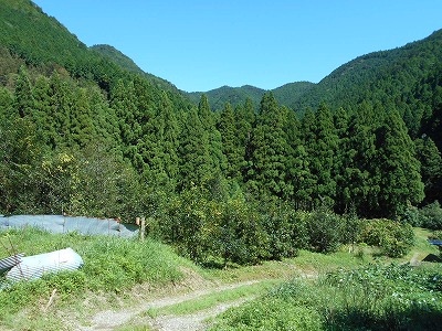 f0308898_19581437.jpg