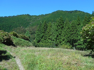 f0308898_1958369.jpg