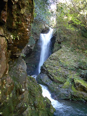 f0308898_2010187.jpg