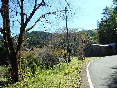 f0308898_2012475.jpg