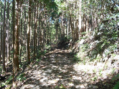 f0308898_20133278.jpg