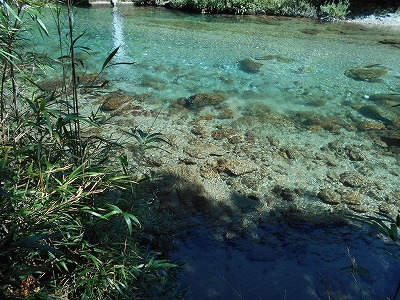 f0308898_20211582.jpg