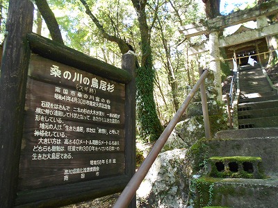 f0308898_2033171.jpg