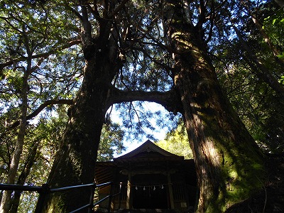 f0308898_2034078.jpg