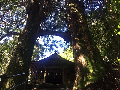 f0308898_204711.jpg