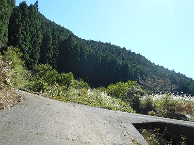 f0308898_2055131.jpg
