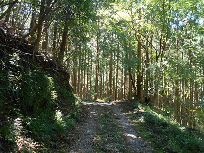 f0308898_206082.jpg