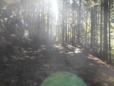 f0308898_2061187.jpg
