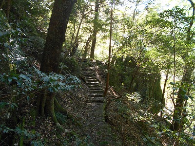 f0308898_2063634.jpg