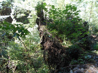f0308898_2075260.jpg