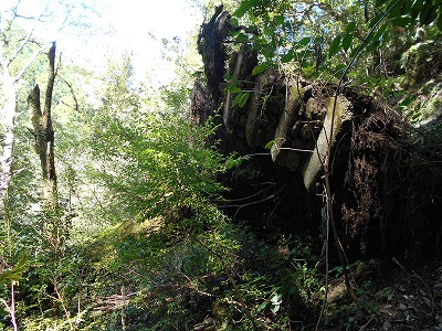 f0308898_208063.jpg