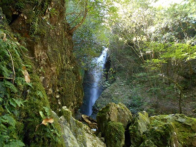 f0308898_2081643.jpg