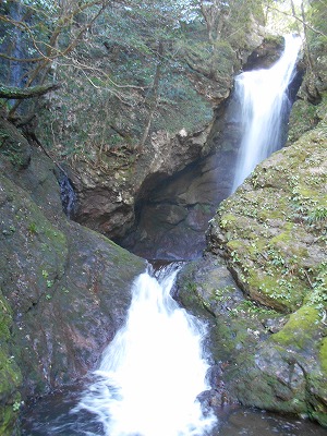 f0308898_2085764.jpg