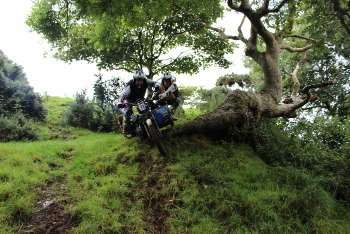 f0200399_754710.jpg