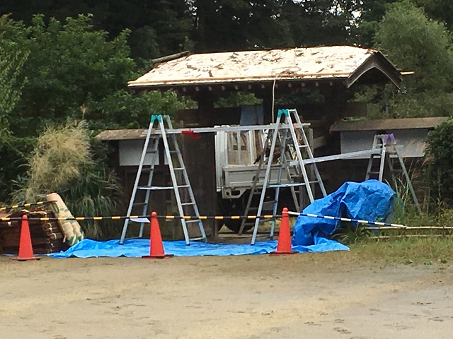 野山北・野草調査10/09_c0124100_17154580.jpg