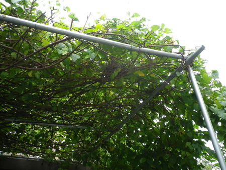 f0239100_1081326.jpg