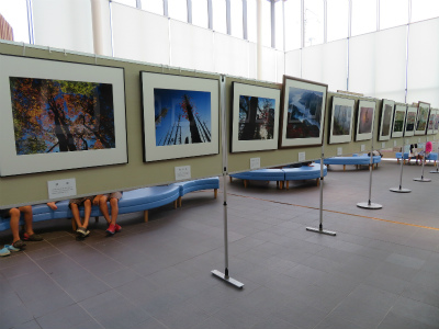 c0125501_03415.jpg