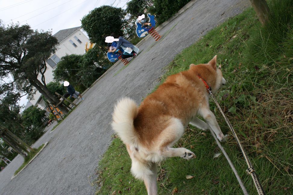 すーちゃんの家族さがし!_f0242002_21104744.jpg