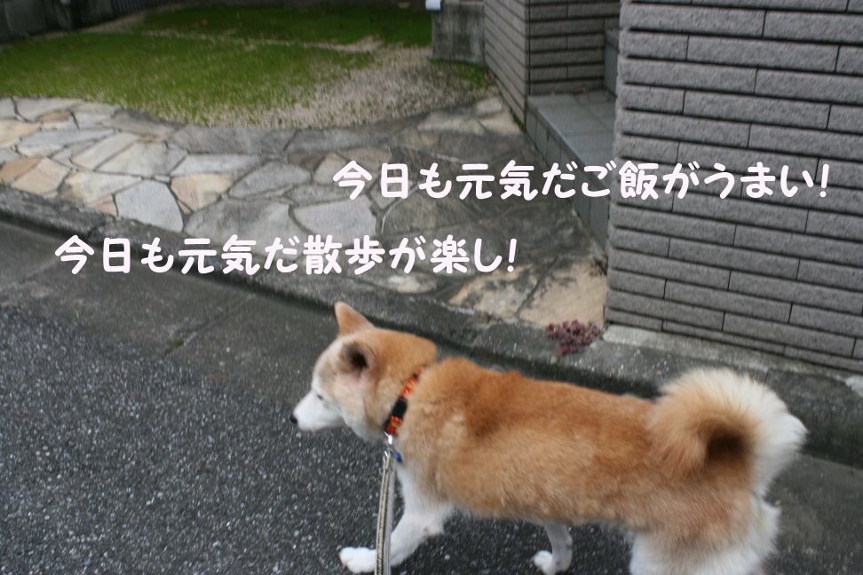 すーちゃんの家族さがし!_f0242002_21210209.jpg