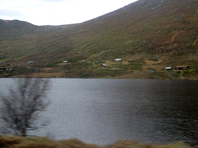 f0126903_20433791.jpg