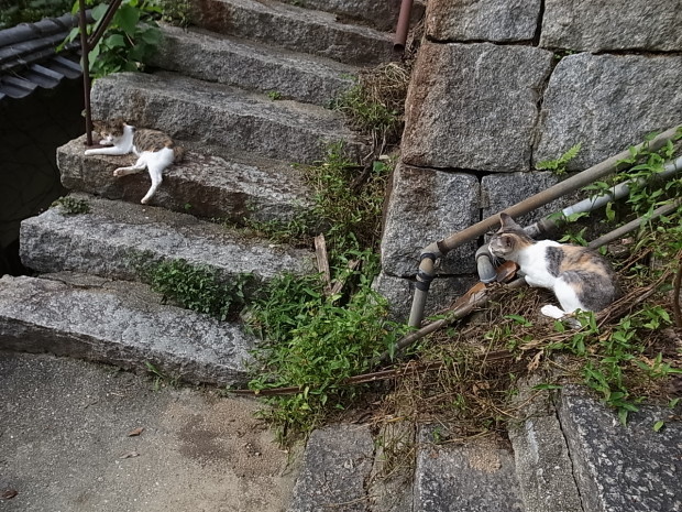 尾道散策_f0197703_15084661.jpg