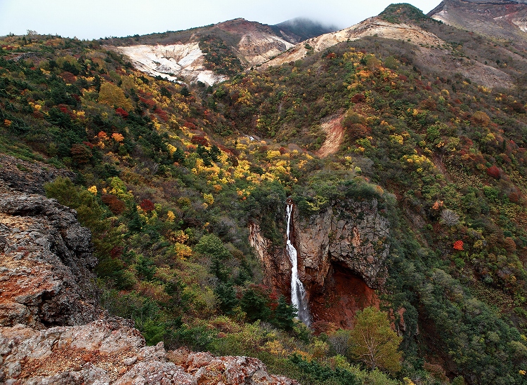 紅葉 蔵王 駒草平 Toshi S Photo4