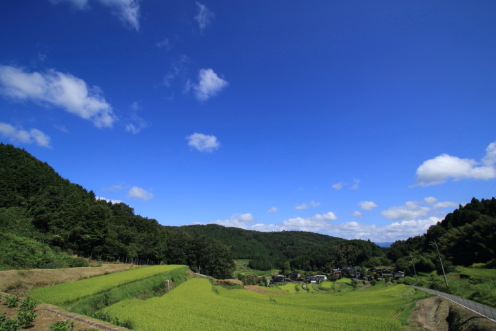 ちょっぴり遅れた夏の風景_e0349708_08313465.jpg