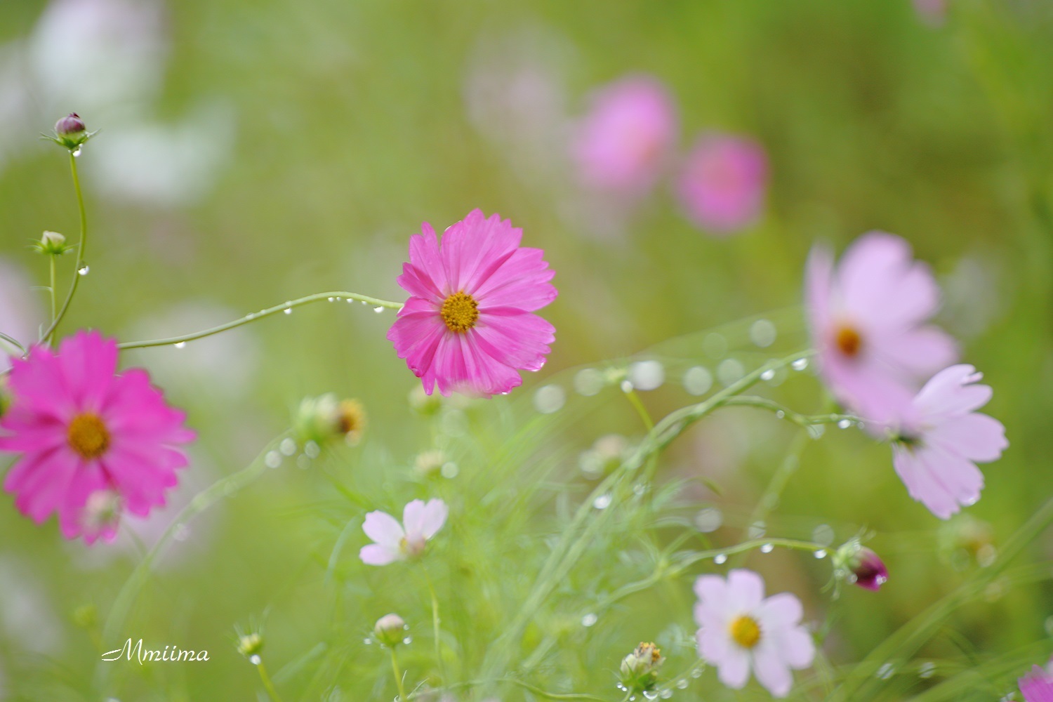 雨の日_f0131611_05511547.jpg