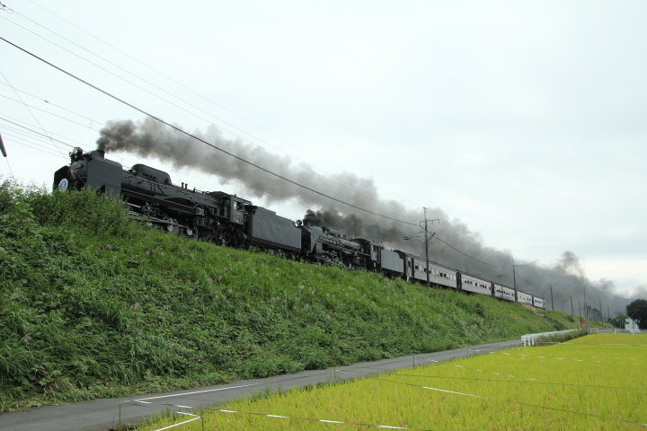 D51 C61 重連 ぐっぐっとぐんま みなかみ_b0207413_17082849.jpg