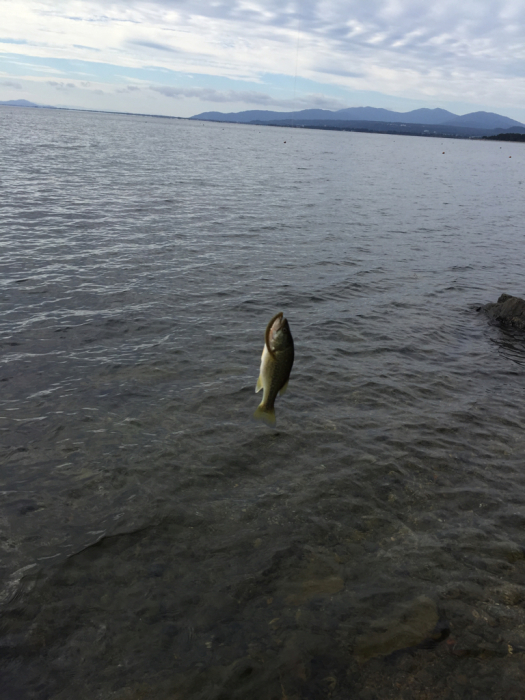 1011釣行記-厳し過ぎるぜ北湖西岸…その１-_f0123714_22203988.jpg