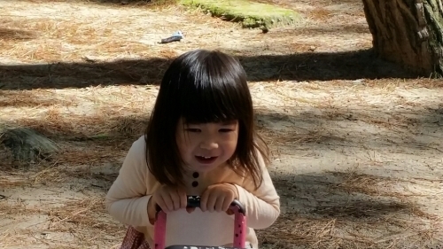 e0136815_11305829.jpg