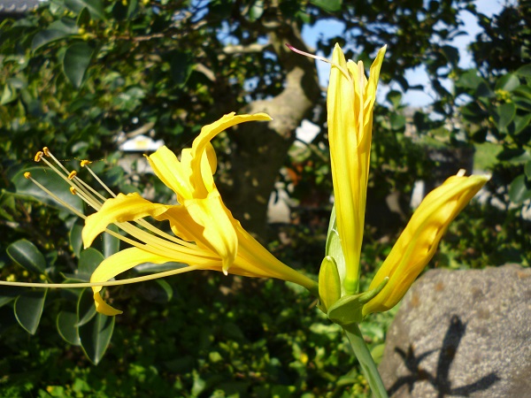 f0228619_9365930.jpg