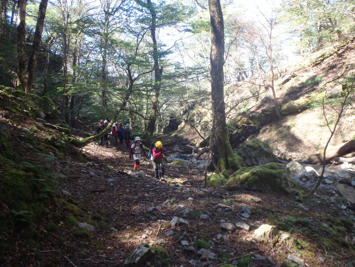 f0193521_1957245.jpg