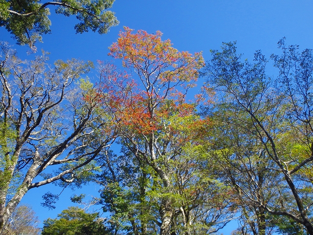 f0193521_20113611.jpg