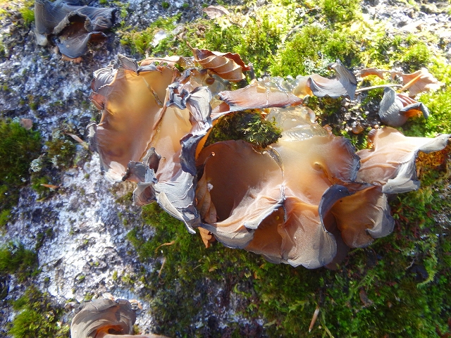 f0193521_20133699.jpg