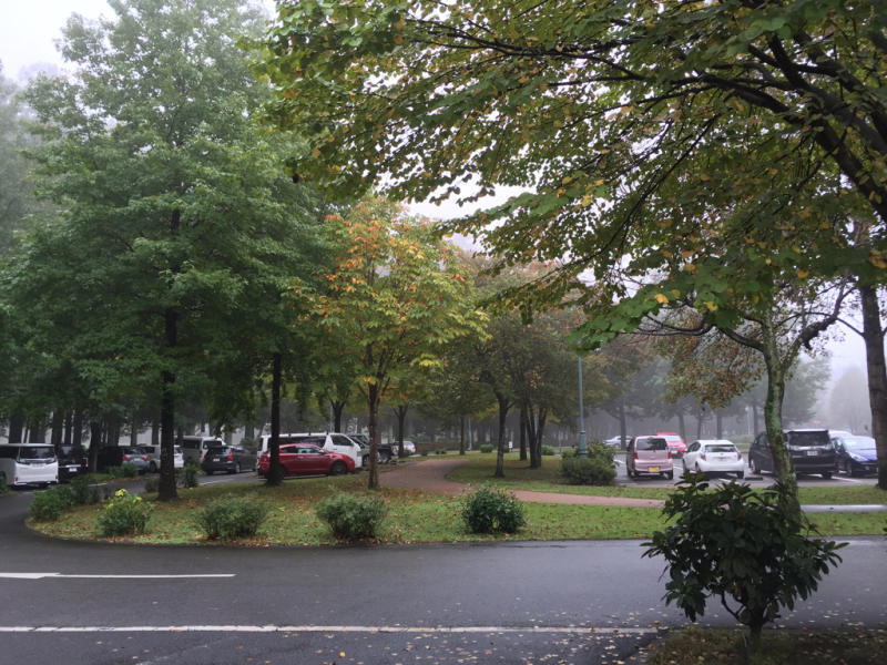 f0234023_08135419.jpg