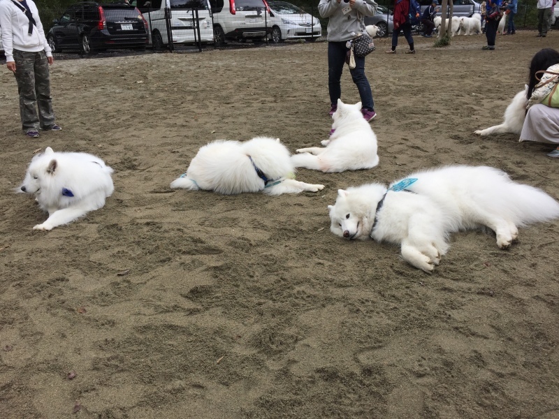 エニセイっ子３期生のお誕生会＆北海道からようこそ！の集い_furari後編_f0234023_22241997.jpeg