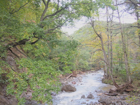 b0147224_23413973.jpg