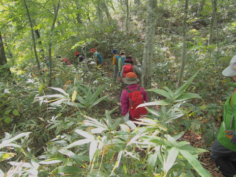 日本の滝100選「松見の滝」（十和田市）*2016.10.09_b0147224_23472829.jpg