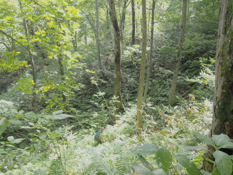 b0147224_23481234.jpg