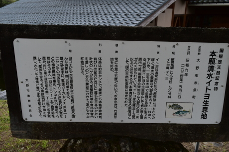 f0362524_17423897.jpg