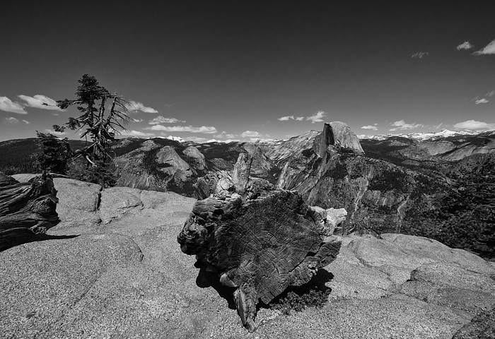 b0085526_1054188.jpg