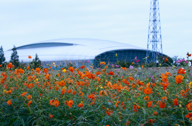 【馬入ふれあい公園】_f0348831_21234328.jpg