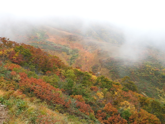 f0118332_01230240.jpg