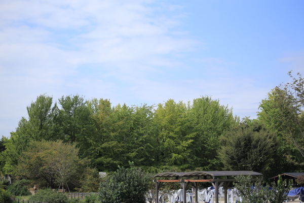 f0229832_09592929.jpg