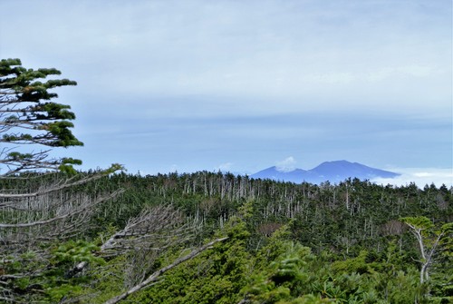 d0170835_2149151.jpg
