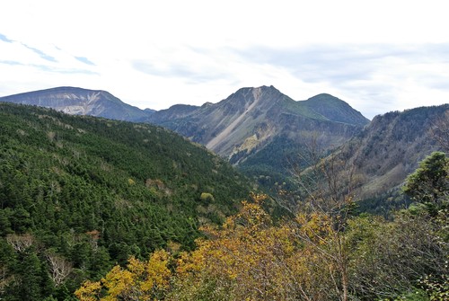 d0170835_21531145.jpg
