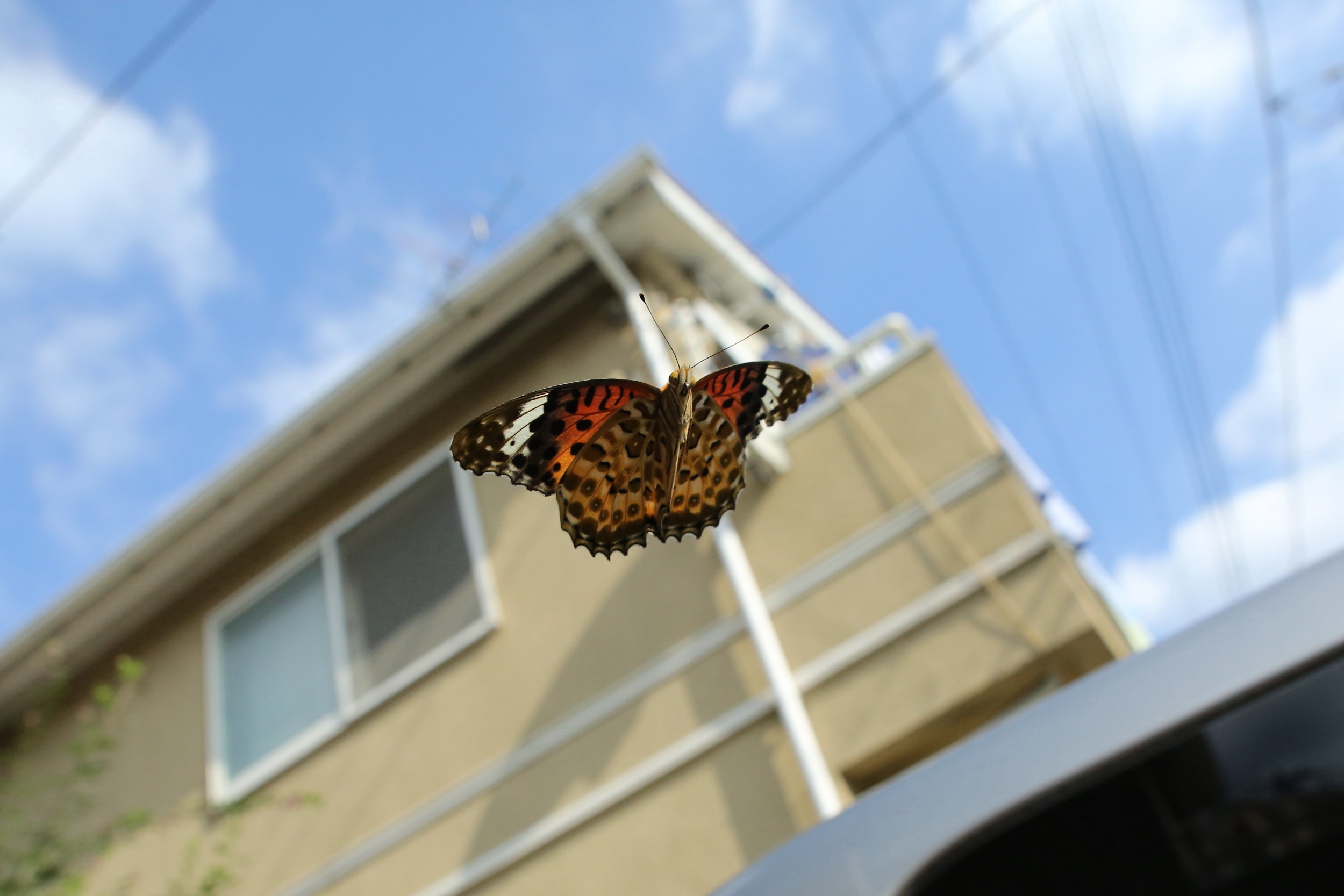 f0345350_07192214.jpg